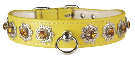 Leather Brothers Yellow Starburst Dog Collar